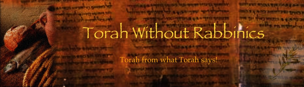 Torah Without Rabbinics